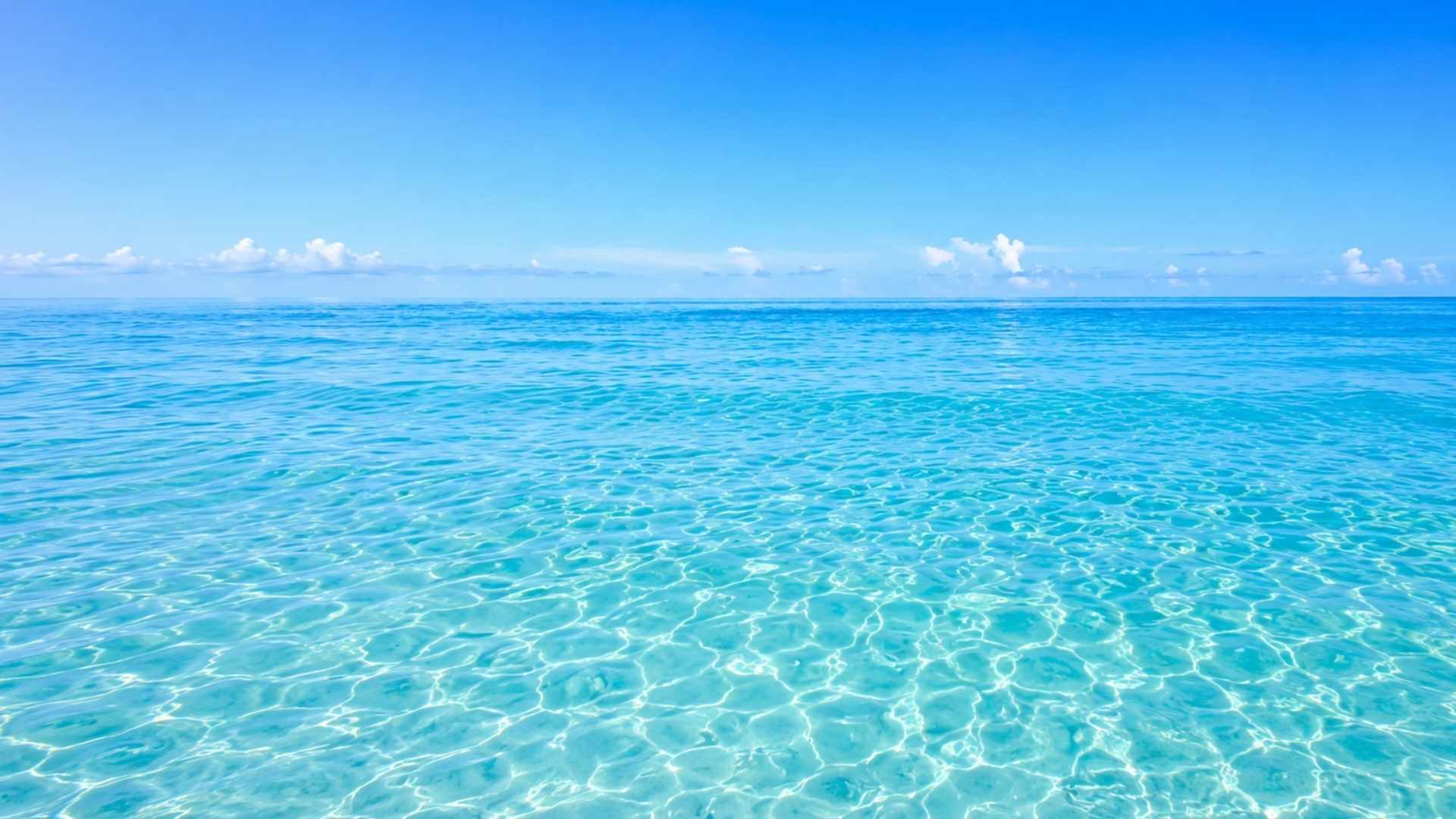 Fondo agua